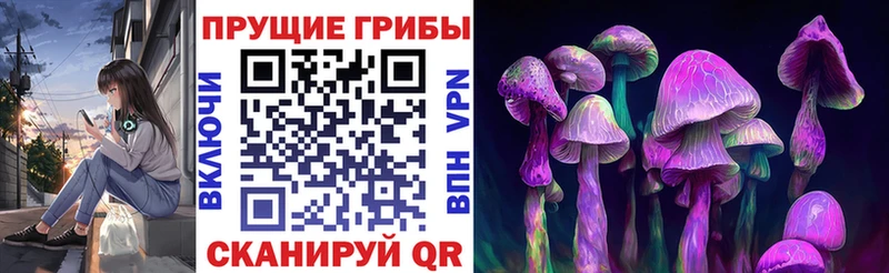 Галлюциногенные грибы Psilocybe  Усолье-Сибирское 